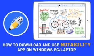 viewing notability pc