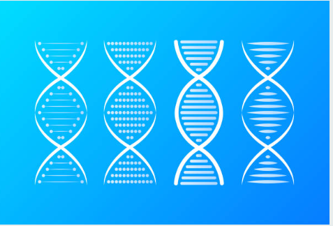 Recombinant Antibodies